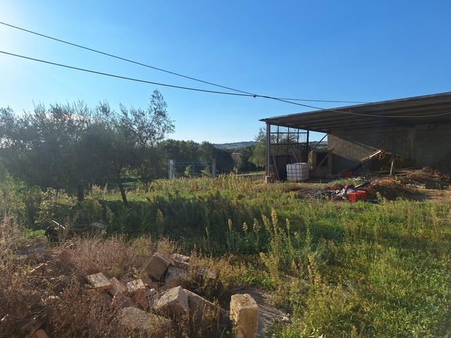 Rustici e casali in vendita