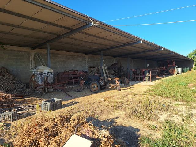 Rustici e casali in vendita