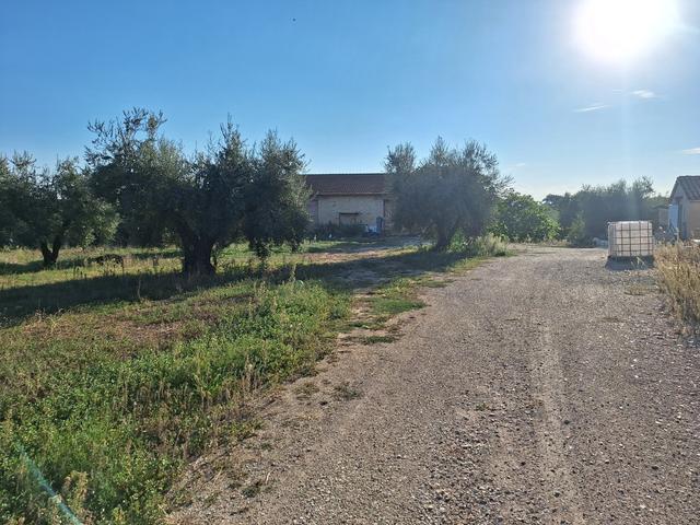 Rustici e casali in vendita