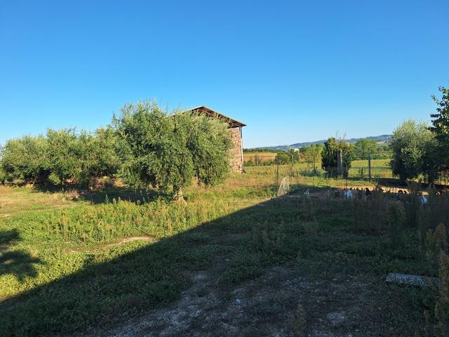 Rustici e casali in vendita