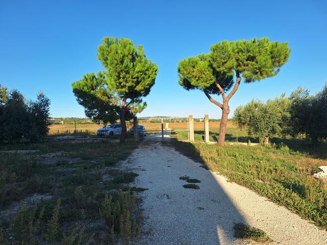Rustici e casali in vendita