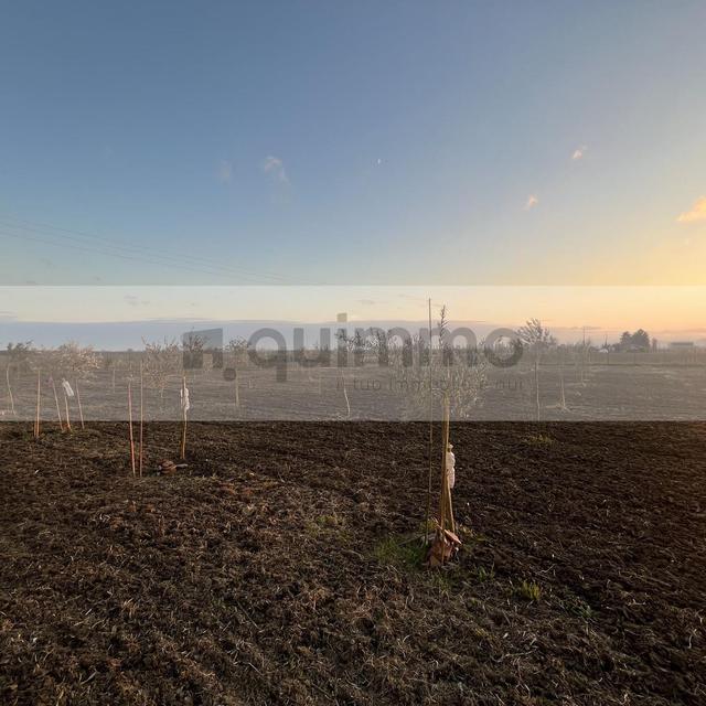 photogallery 24