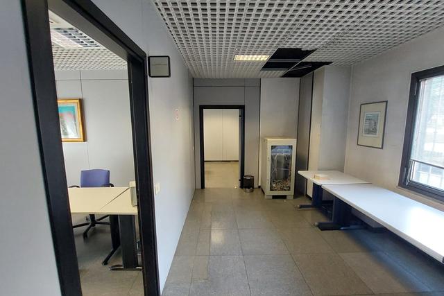 Grandi dimensioni in vendita