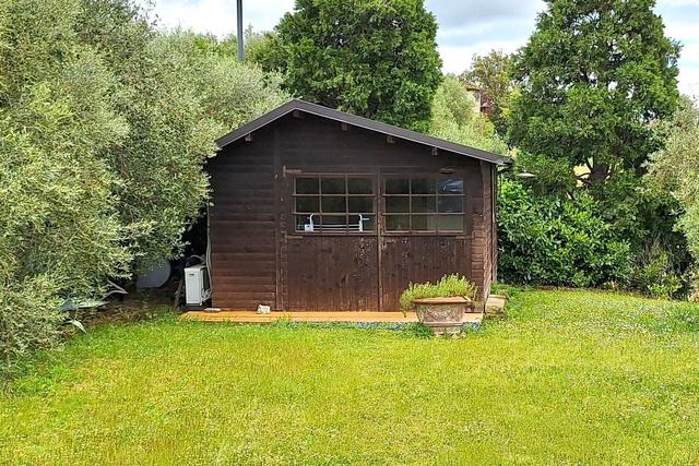 #23461 Appezzamento agricolo collinare e annessi rurali in vendita - foto 11