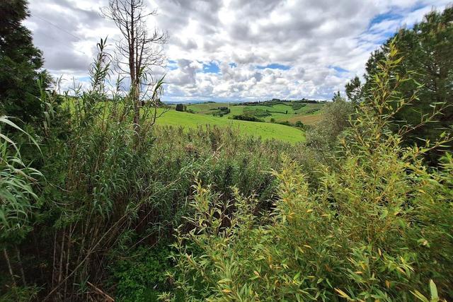 Agricoli in vendita