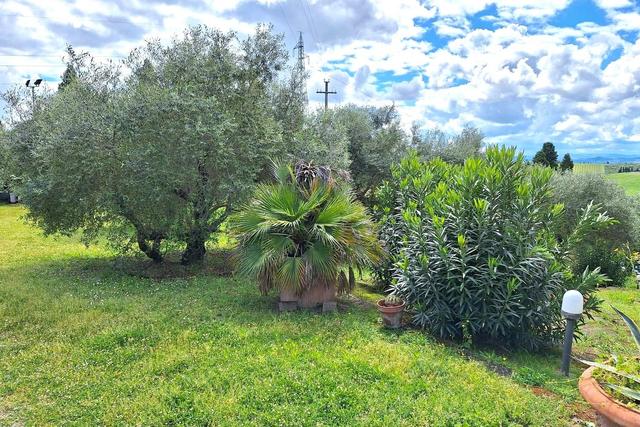 Agricoli in vendita