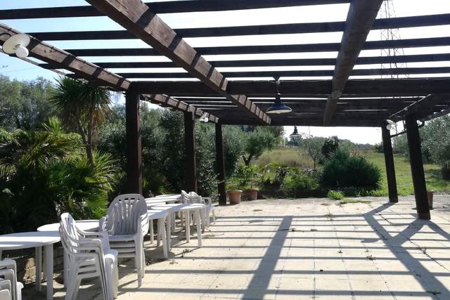 #23461 Appezzamento agricolo collinare e annessi rurali in vendita - foto 17