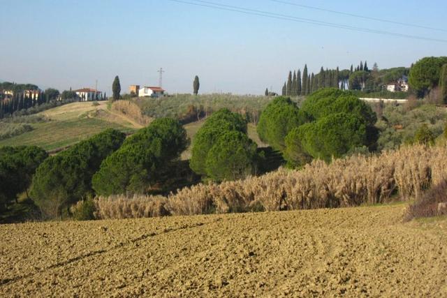 Agricoli in vendita
