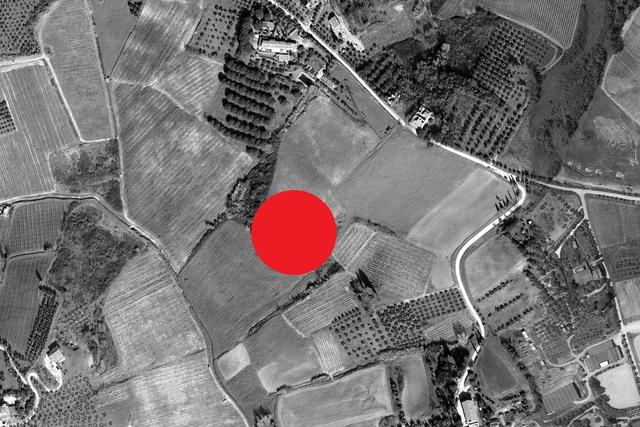 #23461 Appezzamento agricolo collinare e annessi rurali in vendita - foto 19