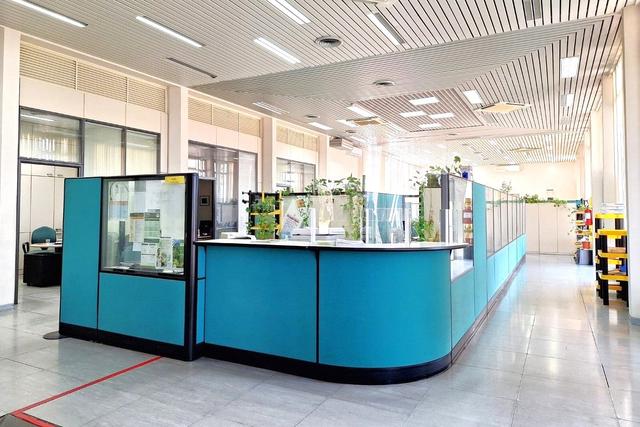 Grandi dimensioni in vendita