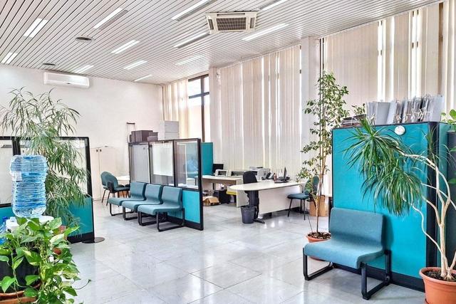 Grandi dimensioni in vendita