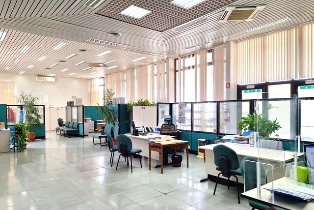 Grandi dimensioni in vendita