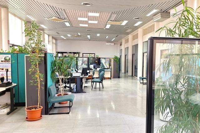 Grandi dimensioni in vendita