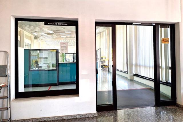 Grandi dimensioni in vendita