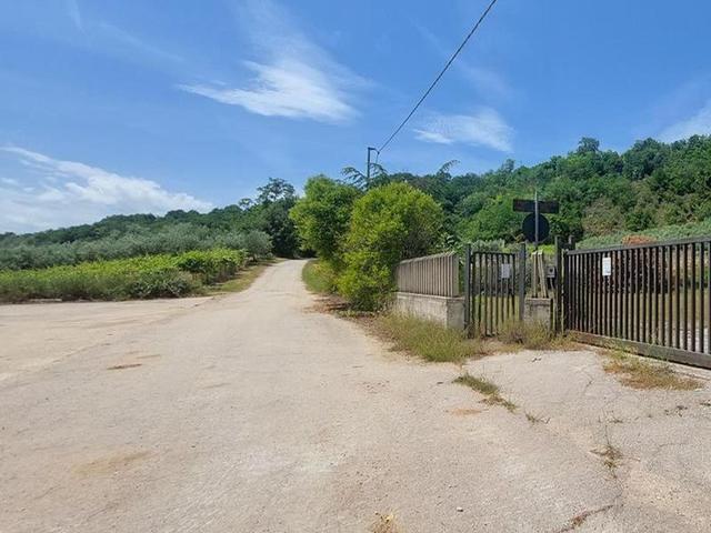 #14695 Capannone con area di pertinenza in vendita - foto 3