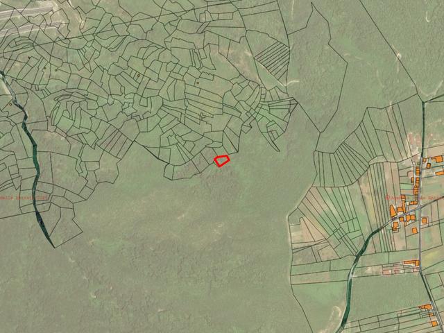 Agricoli in vendita