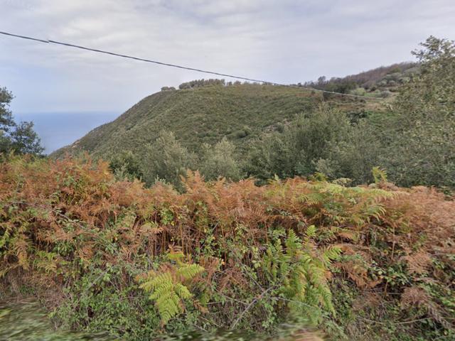 Agricoli in vendita