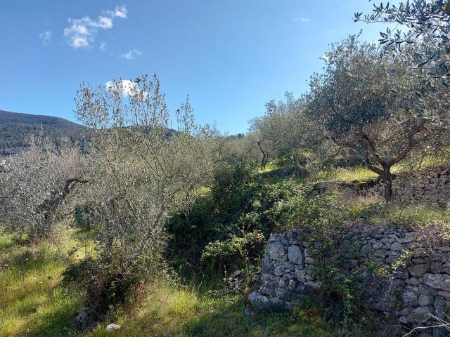 Edificabili in vendita