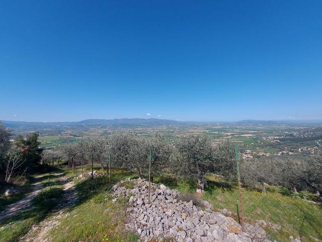 Edificabili in vendita