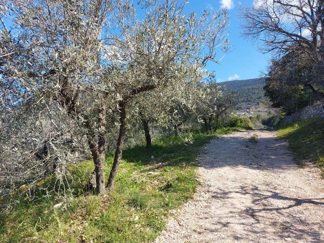 #20508 Terreno con fabbricato da ripristinare in vendita - foto 6
