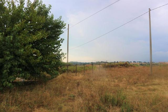#8323 Lottizzazione turistico-residenziale-ricettiva in vendita - foto 34