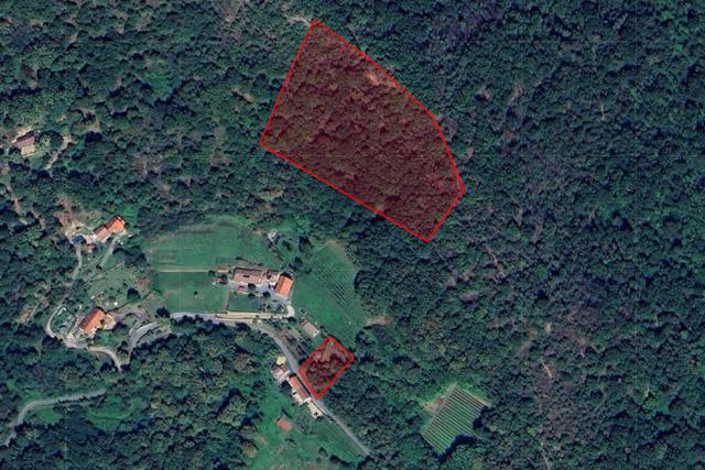 #2638791 Terreni agricoli per 21.500 mq in vendita - foto 1