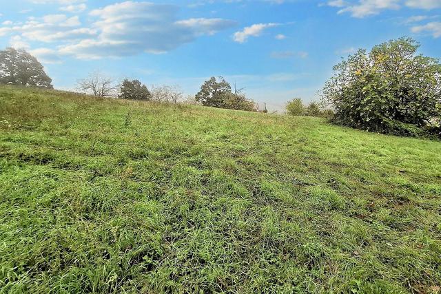 Agricoli in vendita