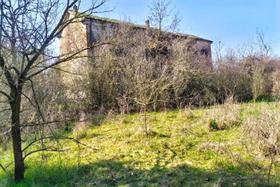 Agricoli in vendita