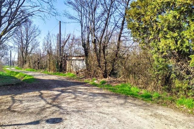 Agricoli in vendita