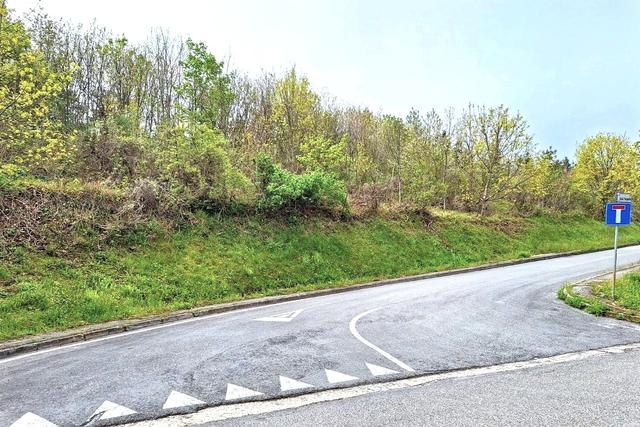 #2515130 Area per espansione residenziale su pendio in vendita - foto 3