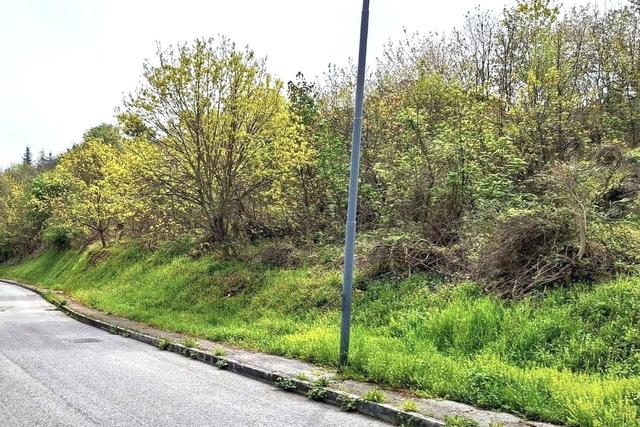 #2515130 Area per espansione residenziale su pendio in vendita - foto 5