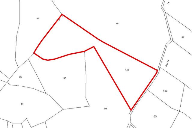 estratto-di-mappa