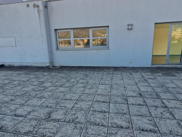 Grandi dimensioni in vendita