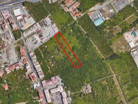Agricoli in vendita