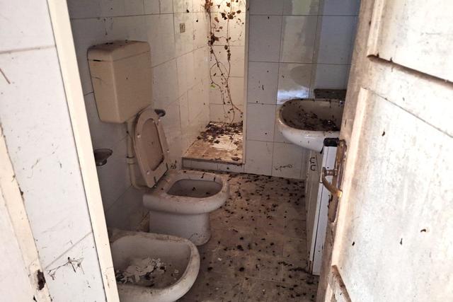 Rustici e casali in vendita