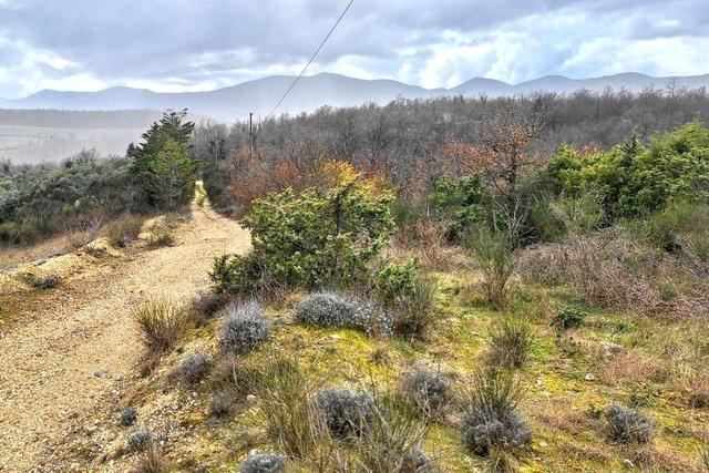 #25915 Terreno con ex cava dismessa di 26075 mq in vendita - foto 8