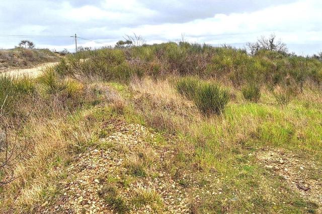 #25915 Terreno con ex cava dismessa di 26075 mq in vendita - foto 3
