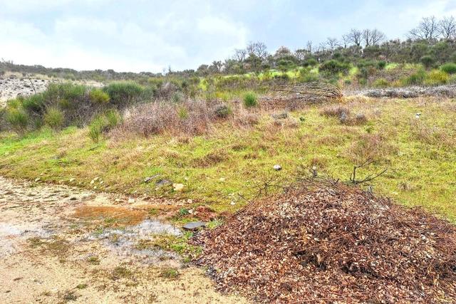 #25915 Terreno con ex cava dismessa di 26075 mq in vendita - foto 9