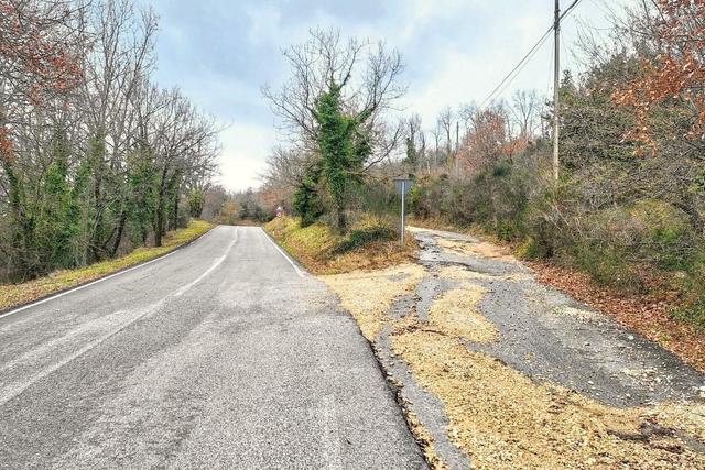 #25915 Terreno con ex cava dismessa di 26075 mq in vendita - foto 5