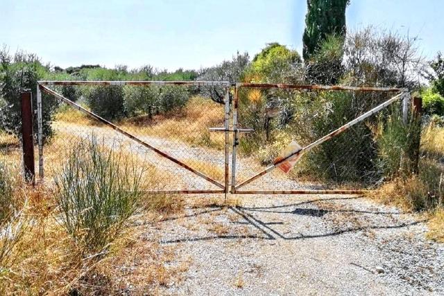 #25915 Terreno con ex cava dismessa di 26075 mq in vendita - foto 4