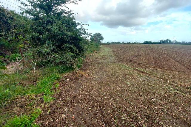 #24733 Due appezzamenti agricoli in zona rurale in vendita - foto 9
