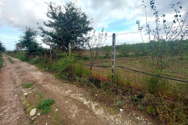 #24733 Due appezzamenti agricoli in zona rurale in vendita - foto 11