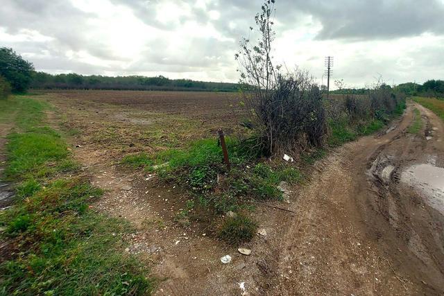 #24733 Due appezzamenti agricoli in zona rurale in vendita - foto 3