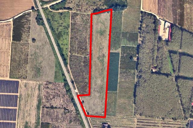 #24733 Due appezzamenti agricoli in zona rurale in vendita - foto 13
