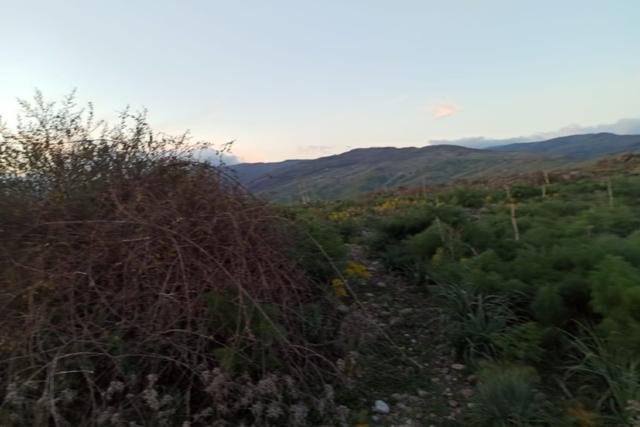 Agricoli in vendita