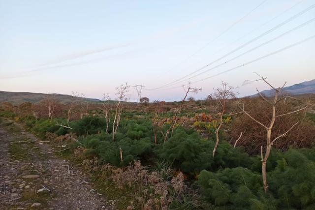 Agricoli in vendita