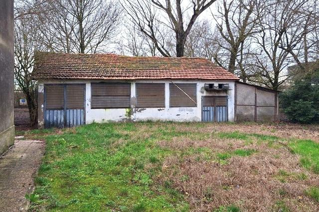 Rustici e casali in vendita