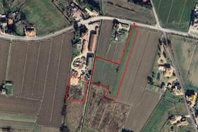 Agricoli in vendita