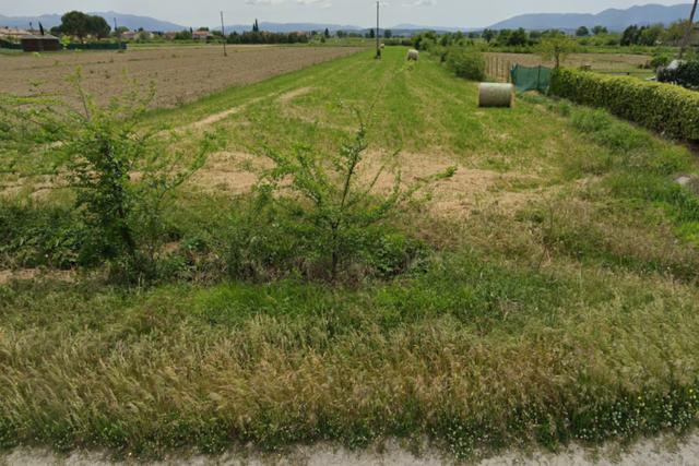Agricoli in vendita