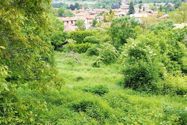 #20924 Appezzamento agricolo collinare di 5270 mq in vendita - foto 1